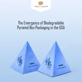 The Emergence of Biodegradable Pyramid Box Packaging in the USA