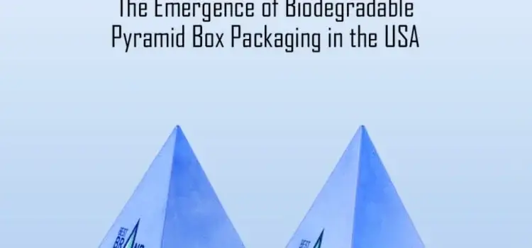 The Emergence of Biodegradable Pyramid Box Packaging in the USA