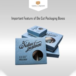 Important Feature of Die Cut Packaging Boxes